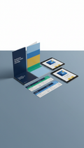 Executive Market Entry Brochure